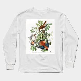 American Sparrow Hawk from Birds of America (1827) Long Sleeve T-Shirt